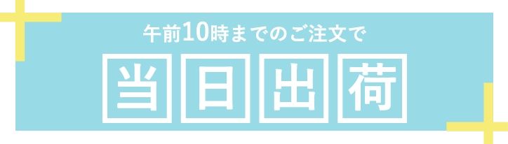 午前10時までのご注文で当日出荷