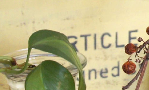 カラーラインナップイメージ画像03