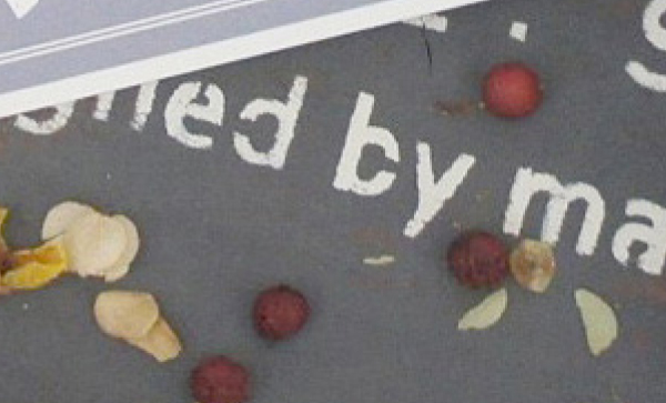 カラーラインナップイメージ画像05