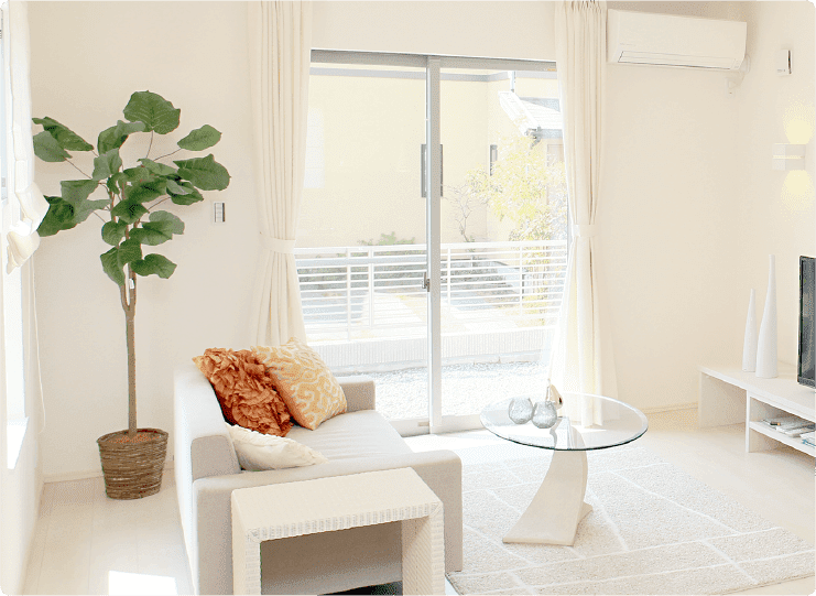 商品情報イメージ01