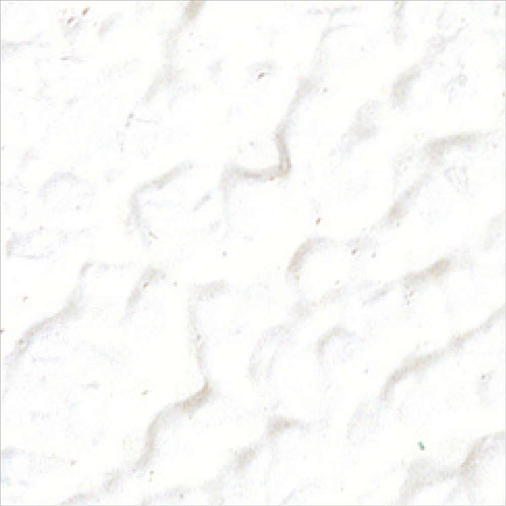 yAEgbgZ[F55%OFFz O Ђъh~ h h<br>eubNEOJxpS 8kg FFsAzCg