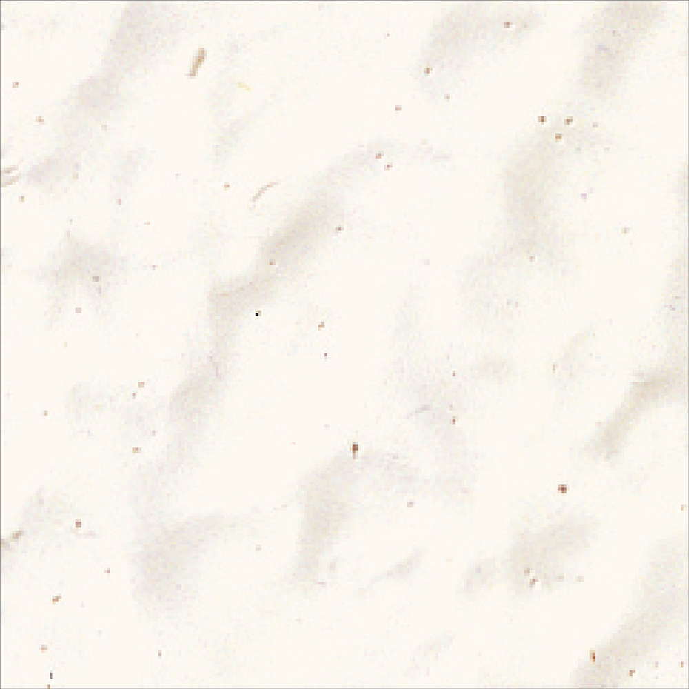 yAEgbgZ[F55%OFFz O Ђъh~ h h<br>eubNEOJxpS 8kg FFAC{[zCg