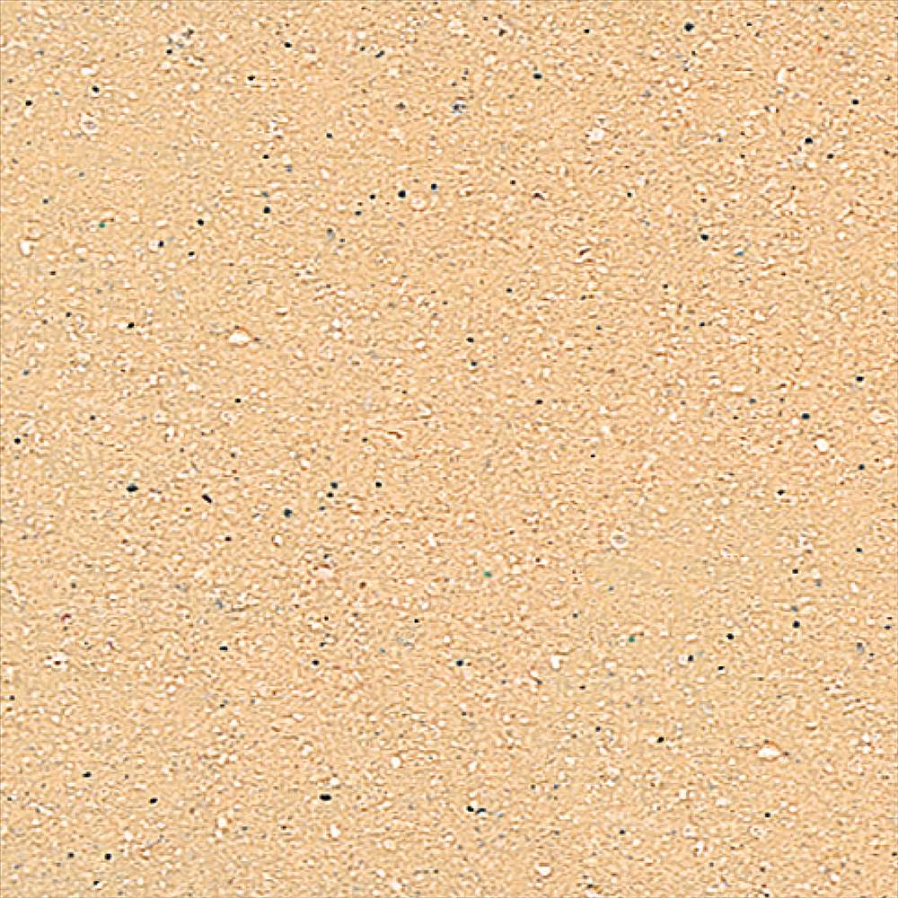 yAEgbgZ[F50%OFFzx_EoRj[E㏰ hEՔM h<br>x_E㏰phՔMh 14kg FFN[CgO[